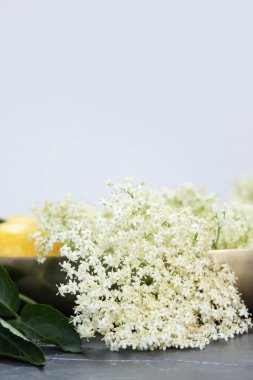 Taze toplanmış mürver çiçekleri, yakın çekim, yumuşak odak.