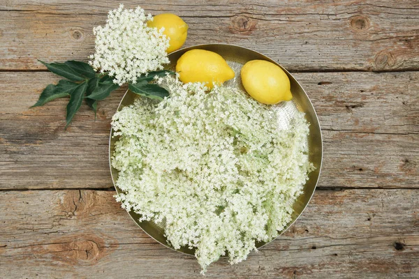 Elderflower Dan Lemon Atas Nampan Bahan Dasar Untuk Elderflower Cordial — Stok Foto