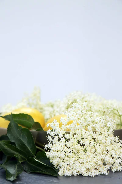 Freshly Picked Elderflowers Close Soft Focus — Stock Photo, Image