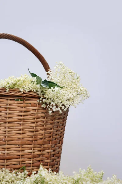 Rieten Mandje Vol Vlierbessen Bloemen — Stockfoto