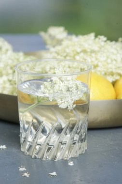 Bir bardak mürver çiçeği suyu..