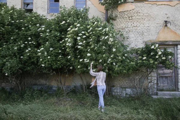 Kırsal Bölgede Yaşlı Çiçek Toplayan Bir Kadın — Stok fotoğraf