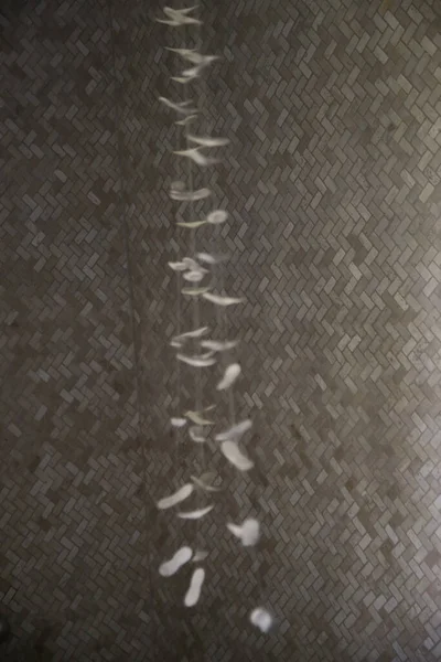 Fundo Abstrato Com Conchas Desfocadas Cordas — Fotografia de Stock