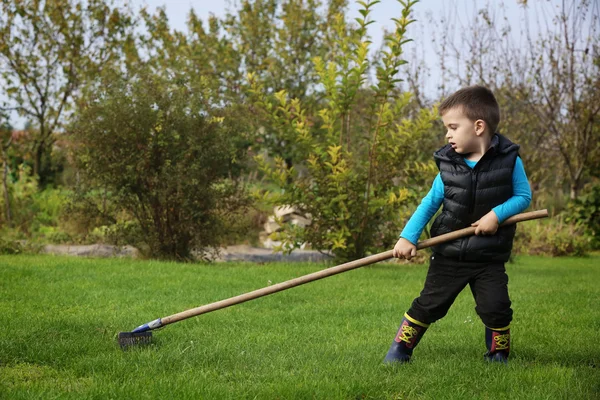 Boy in the yard — Stock Photo, Image
