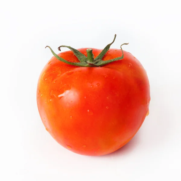 Ekologisk tomat — Stockfoto