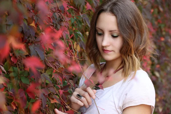 Autumn queen — Stock Photo, Image