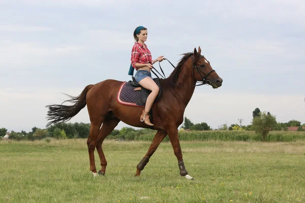 Menina com o cavalo — Fotografia de Stock