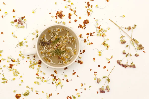 Органічний домашній змішаний чай — стокове фото