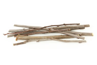 Beyaz arka plan üzerinde Erik dalları