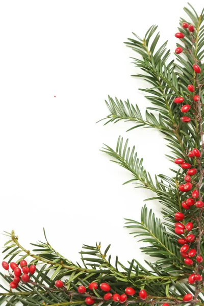 Holidays decoration elements — Stock Photo, Image