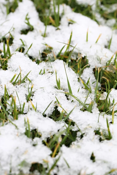 Fundo de inverno — Fotografia de Stock