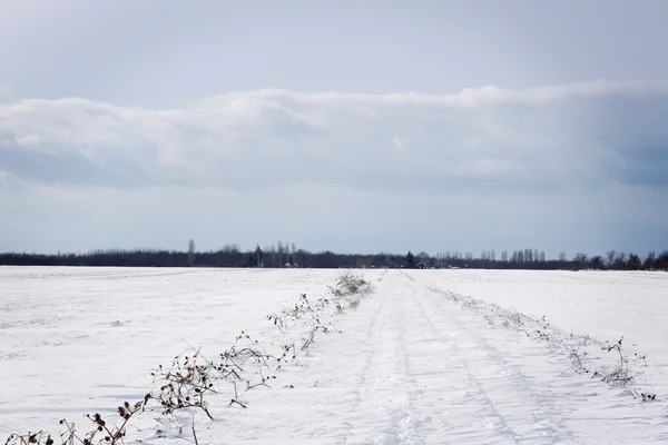 Paisaje invierno —  Fotos de Stock