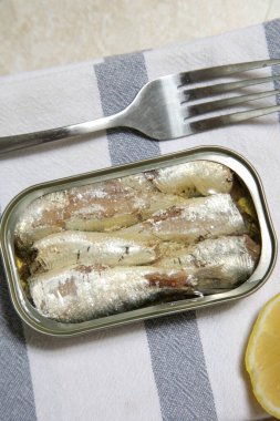 Açık sardalya tenekesinin genel manzarası, günlük protein alımının büyük kaynağı.