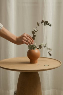 Oturma odasındaki el yapımı yuvarlak kahve masası İçi, Dekor ve Yaşam Tarzı Konsepti