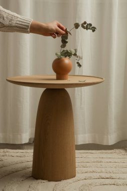 Oturma odasındaki el yapımı yuvarlak kahve masası İçi, Dekor ve Yaşam Tarzı Konsepti