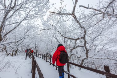 Güney Kore, Muju yakınlarındaki Deogyusan Ulusal Parkı 'ndaki Deogyusan Dağı' nın tepesinde turistler