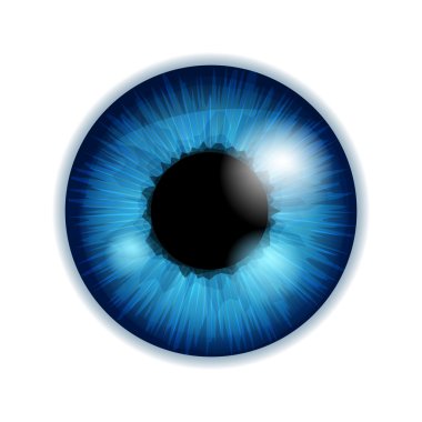 Human eye iris pupil - blue color.
