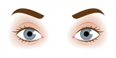 Realistic womans eyes vector illustration.