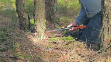 Turist kamp ateşi için ormandaki ağaçları kesiyor.