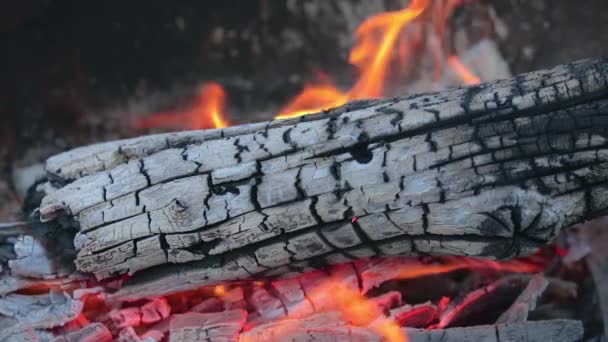 Queimando madeira na chama quente vermelha — Vídeo de Stock