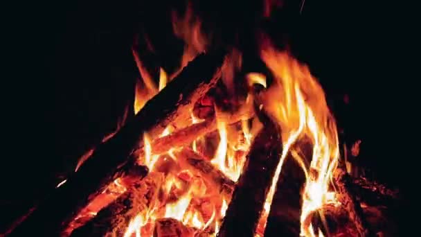 Bruciare il fuoco del campeggio di notte - Primo piano — Video Stock