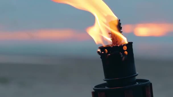 Φωτιά από μπαμπού καίγεται στην παραλία. — Αρχείο Βίντεο