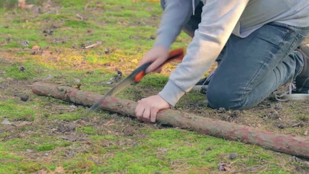 Tourist sägt Holz im Wald für das Lagerfeuer — Stockvideo