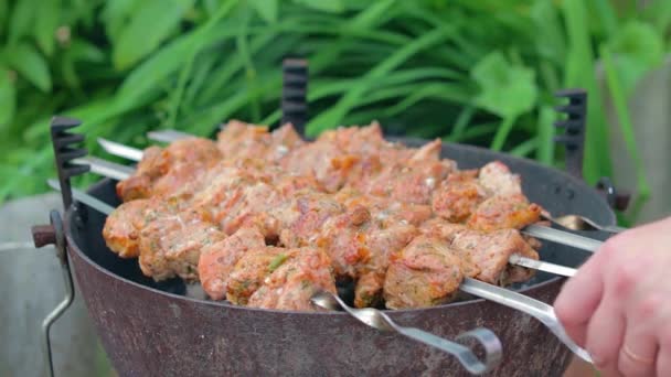 Chutné grilování Kebab vaření na grilu — Stock video