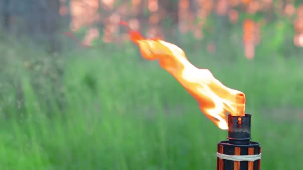 Bamboebrander voor vloeibare brandstof in het bos — Stockvideo