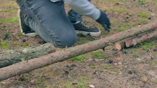 Toeristen zaaien hout in het bos voor het kampvuur — Stockvideo