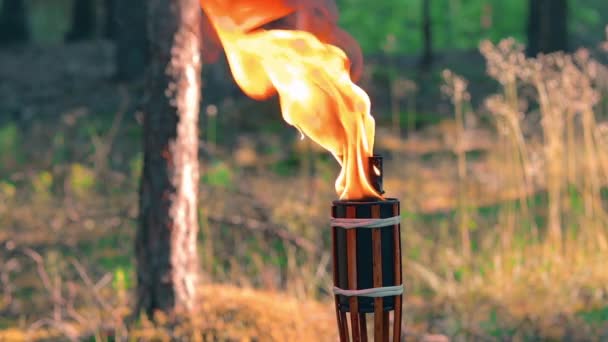 Queima de tocha de bambu de combustível líquido na floresta — Vídeo de Stock