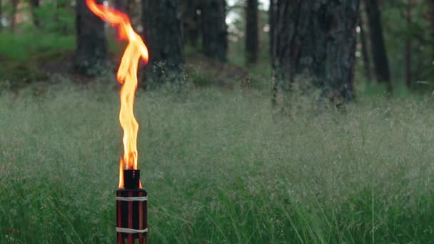 Arderea torței de bambus cu combustibil petrolier în pădure — Videoclip de stoc