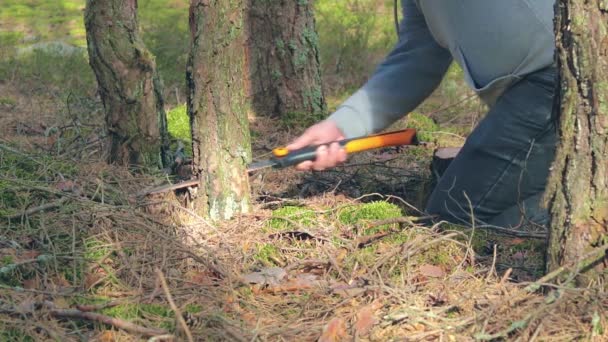 Il turista sta segando il legno nella foresta per il Campfire — Video Stock