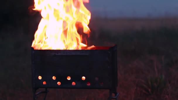 Brennendes Feuer in einem brasilianischen oder extremen Grill Kochen — Stockvideo