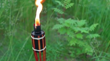 Ormanda Yağ Yakıtlı Bambu Meşalesi Yanıyor