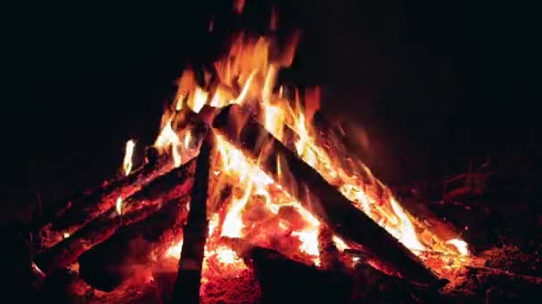 Kampvuur 's nachts verbranden - Close-up — Stockvideo