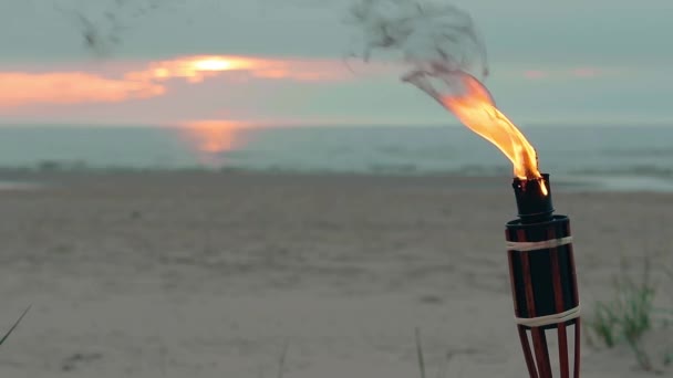 Bambusowa pochodnia płonie na plaży. — Wideo stockowe