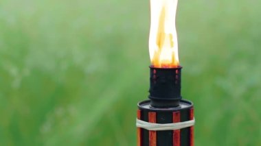 Ormanda Yağ Yakıtlı Bambu Meşalesi Yanıyor