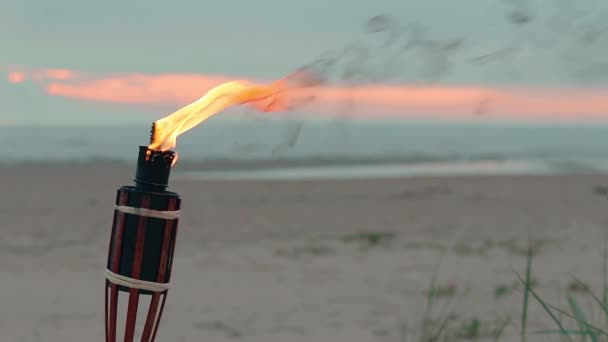 Tocha de bambu queimando na praia — Vídeo de Stock