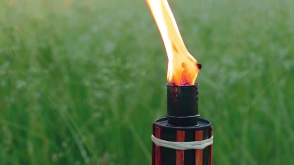 Combustible à huile Torche en bambou brûlant dans la forêt — Video