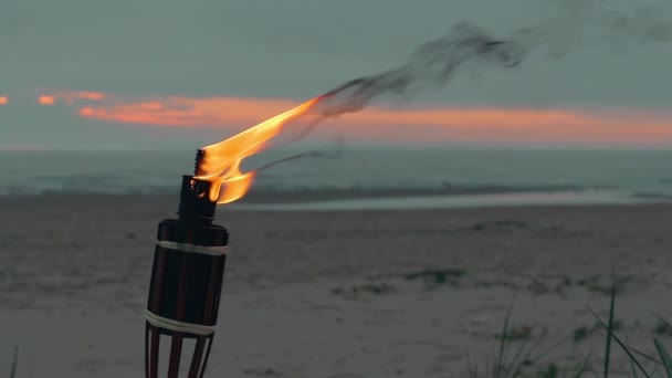 Бамбуковый факел горит на пляже — стоковое видео