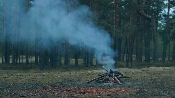 Uma fogueira na floresta - Movimento lento — Vídeo de Stock