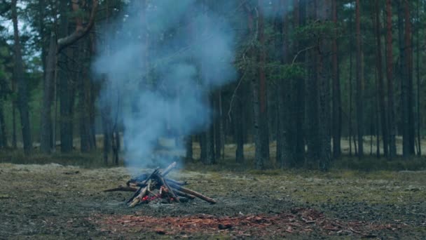 Una hoguera en el bosque - cámara lenta — Vídeos de Stock