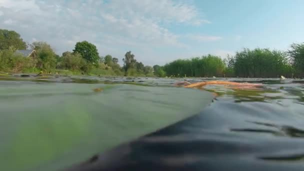 Peste și sub suprafața apei râului - mișcare lentă — Videoclip de stoc