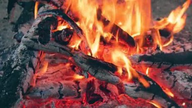 Ormanda Şenlik Ateşi - Yavaş Hareket