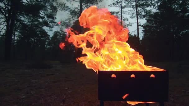 Fiamma ardente nel braciere - Super Slow Motion — Video Stock