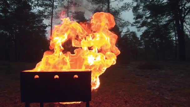 Brennende Flamme im Brasilianer - Super-Zeitlupe — Stockvideo