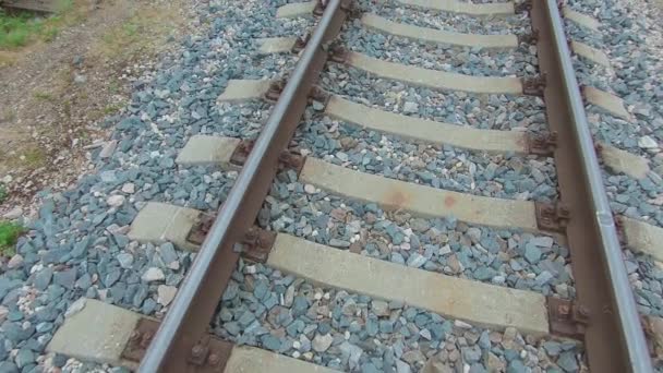 Smidig rörelse längs det europeiska järnvägsspåret — Stockvideo