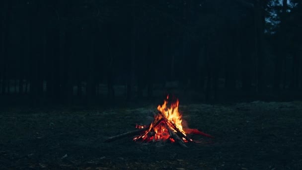 Una hoguera en el bosque - cámara lenta — Vídeo de stock