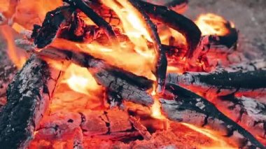 Ormanda Şenlik Ateşi - Yavaş Hareket